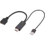 HDMI to Display Port Adapter with USB