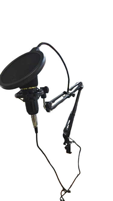 Microphone V8 BM800 CONDENSER